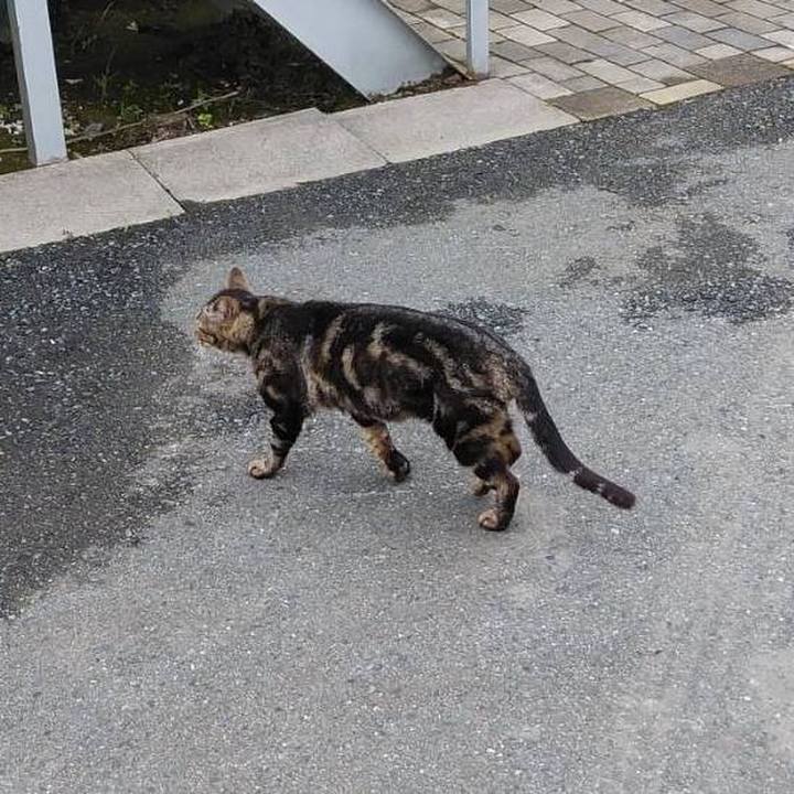 B839f1cb cc54 465a 8635 fc41339b191e 1590104813865