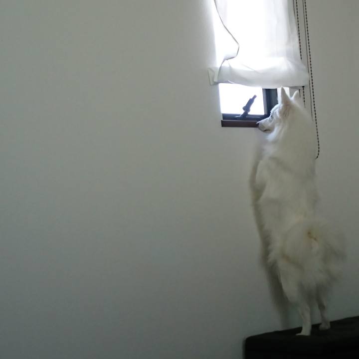 B83a1e71 475d 40f4 8a99 3e1541dab464 1524628205481