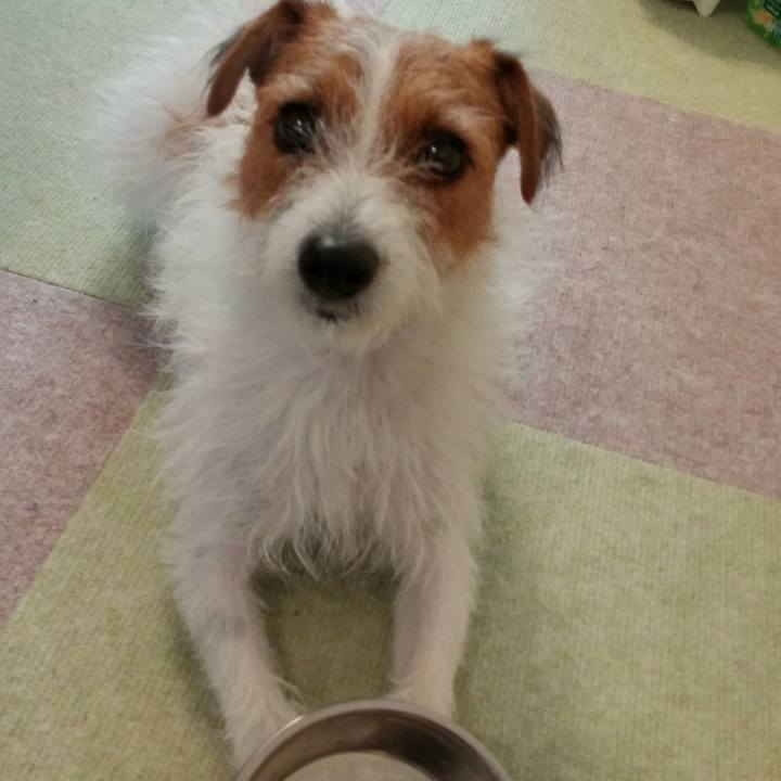 B83a2fd0 f628 46ad bba7 35c043e1c45c 1536275552278