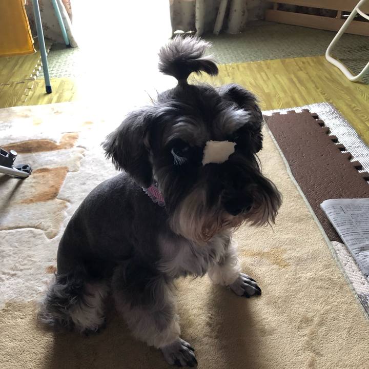 B83a3e24 2894 48cf 86b3 f0bbd155ee19 1560599926847