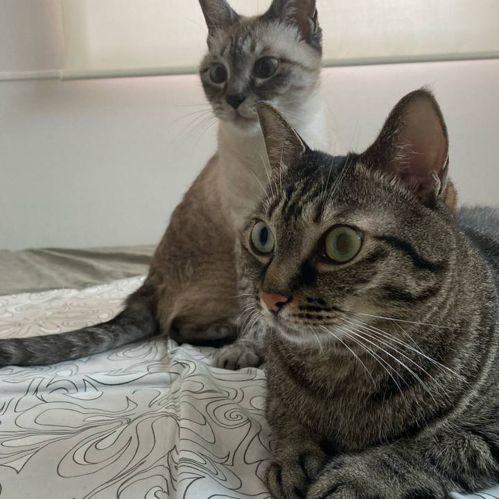 B83aa82b a774 4567 acac cde5da9c93a2 1625443323412