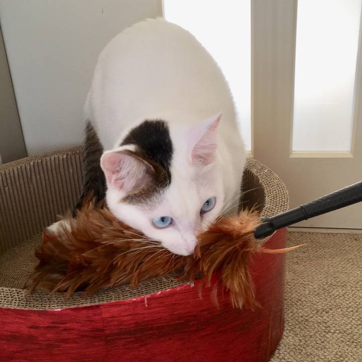 B83b2553 5d7b 424a 8604 2302b3d034fd 1513172861491