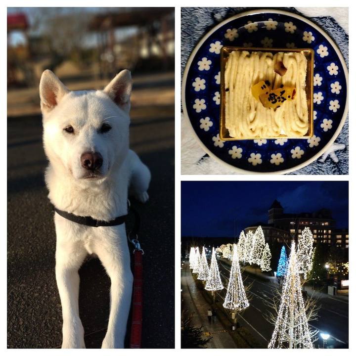 B83b3d26 fad1 47da 9ed7 8c1e97653bd2 1640270311796