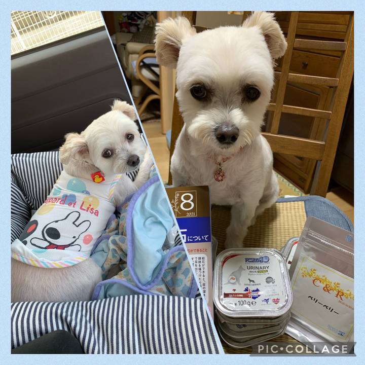 B83b3ddb 6764 470d be62 d62e9532faf6 1628336907422