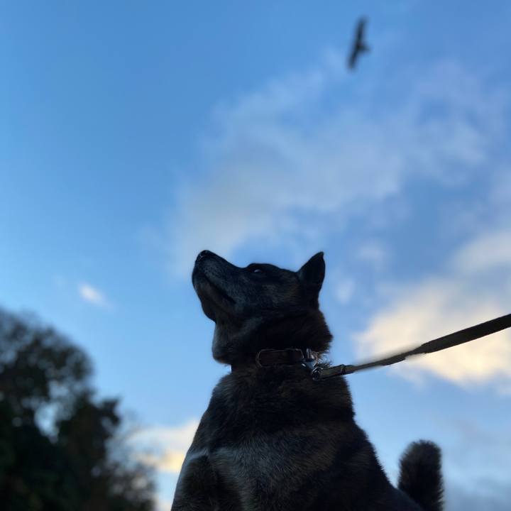 B83b4d71 851a 47ab a728 9cf038a34538 1604874432128