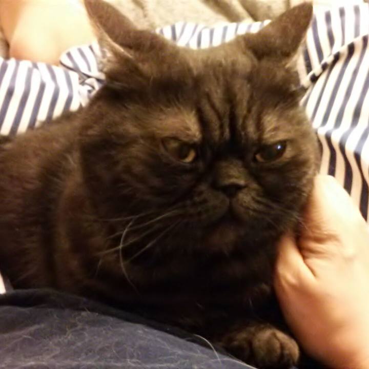 B83b578c b79d 4179 8eb5 bd956b8ae2fc 1524565733919