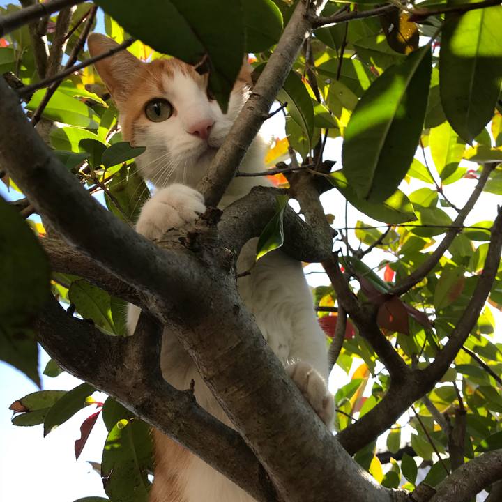 B83b5d3e dab1 4fa5 9185 f36cb04477a2 1510711123898