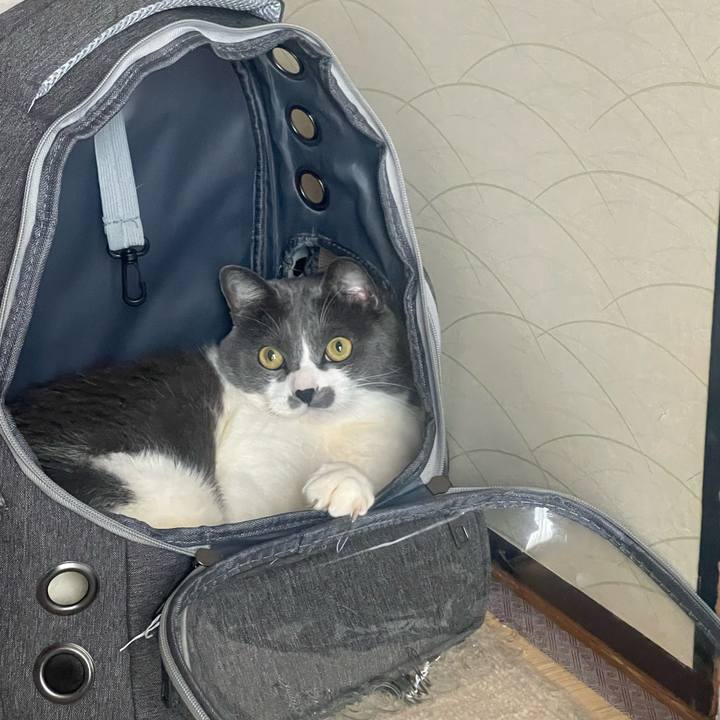 B83b6396 8614 44b7 b025 4081c43b1fad 1708147951528