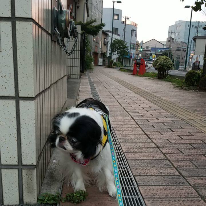 B83b72bb 305c 4d61 8c26 09a5befcc8a8 1531562795977