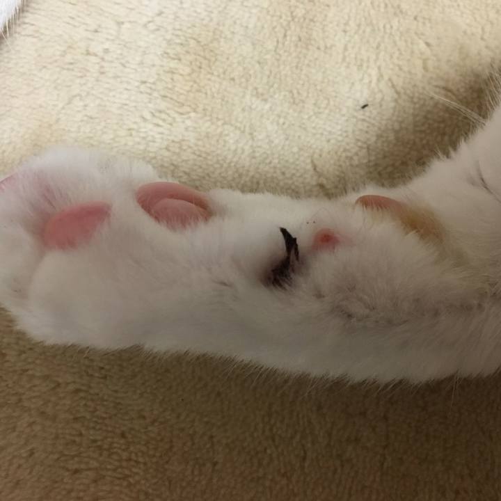 B83b821a b82f 499f 8224 cfb760965c01 1525775563591