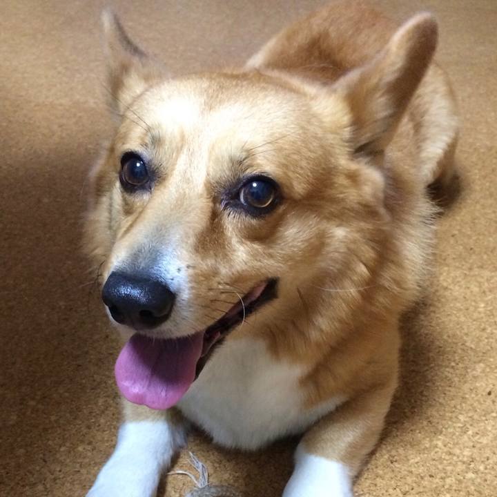 B83b9b27 ebf9 43d7 be3e b5a0214ded76 1577803040989