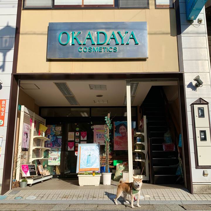 B83bafd5 9c1e 4ae4 9f1c 71bc1c72b0c7 1679303301231