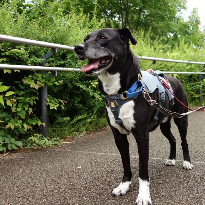 B83bb35e 5da3 4613 b357 7e8a866e0839 1716771222871