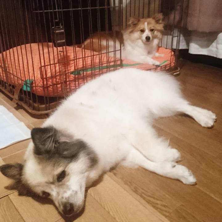 B83bca76 ccb1 4ea0 86f6 5eaa8c49c4e7 1562505114529