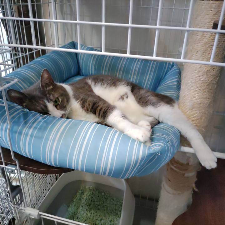 B83bd64c 0df4 4249 ae5e f098ec1ef5f7 1686467586875