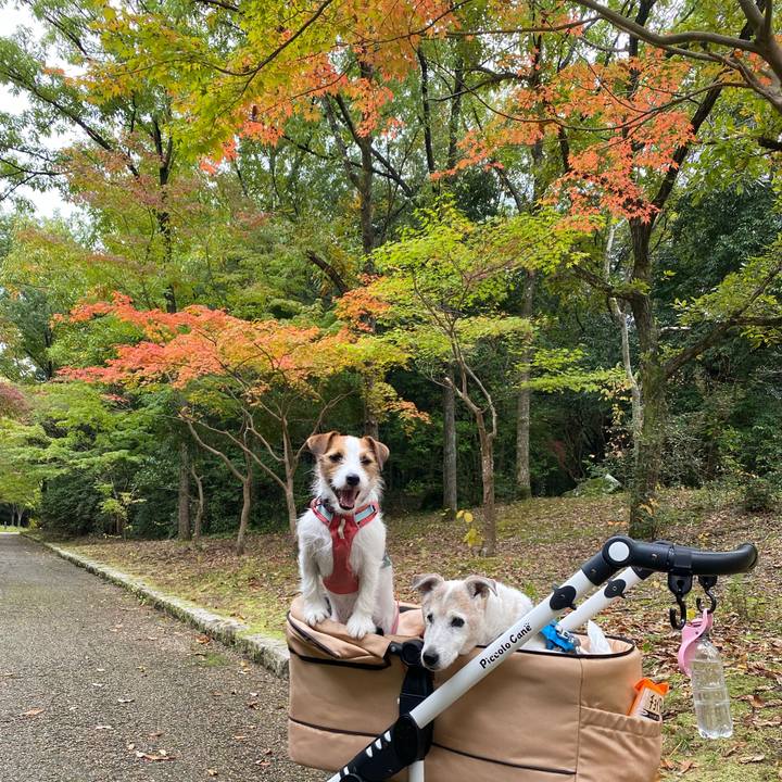 B83bf53a 7cea 4ccf 84ec 8c7a602a8e80 1731835017241