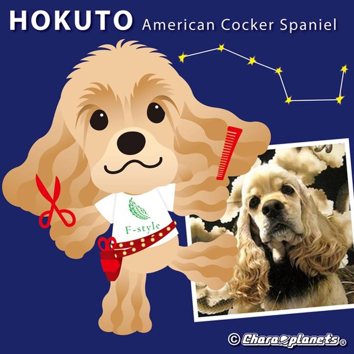 B83c2ff6 6f14 4cfe 8e37 2237540da038 1562484454721