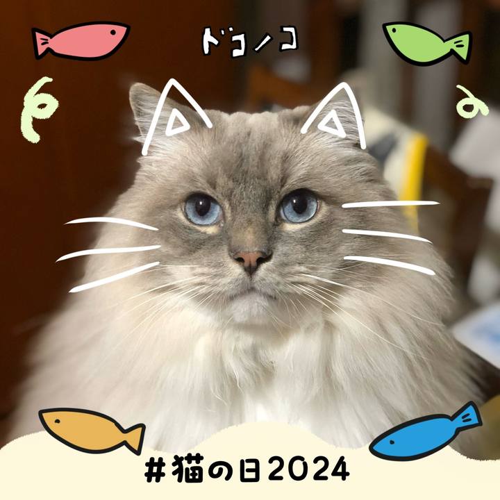 B83c67a5 9760 45b2 98aa 43da2ff58cc3 1708578455133