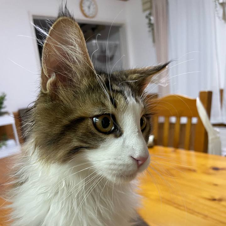 B83c6fc6 4ede 4a6b a175 ebe296b12419 1637098279646