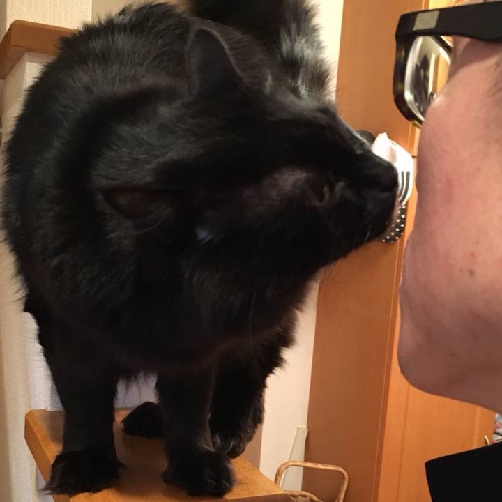 B83c7270 e4ab 4bc7 a223 6bbdea06b472 1519825412211