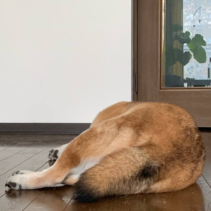 B83c7e91 1440 46fe 95b8 4561781bf8cd 1592718613589