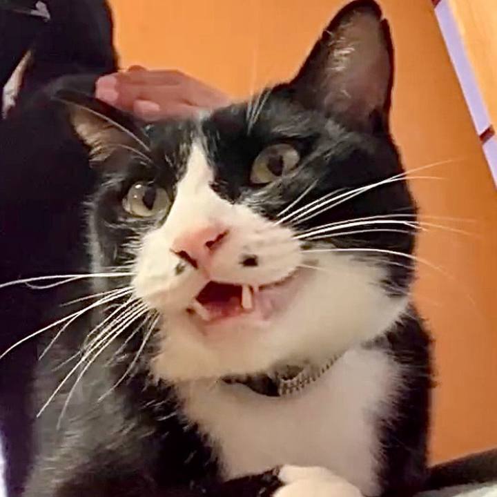 B83ca210 9814 4304 b73d adf30965dd07 1728877842594