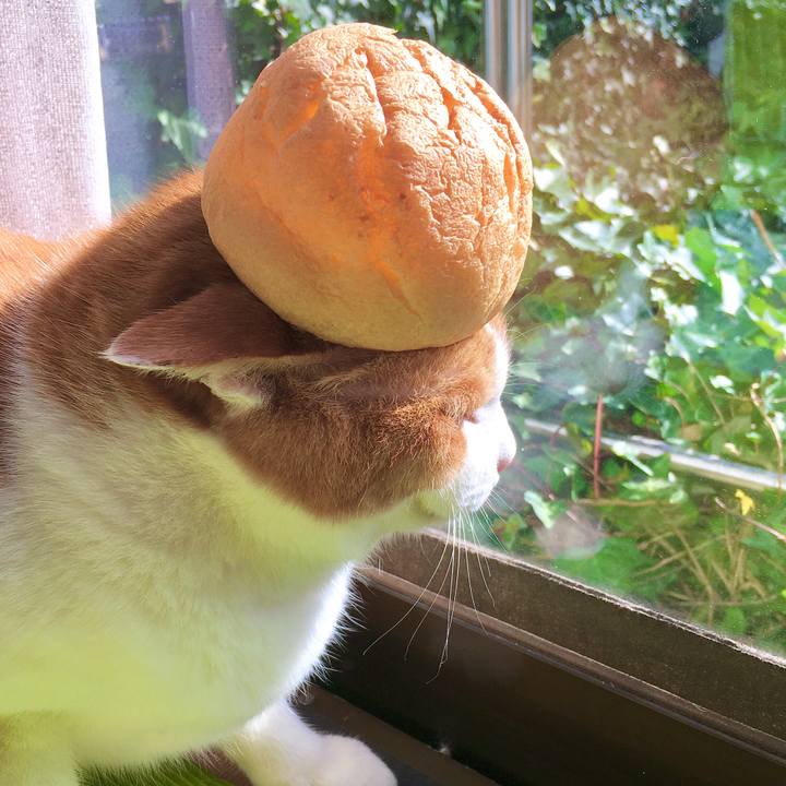 B83ccfd3 e536 4055 9bf9 a526d2346f2f 1616141923372