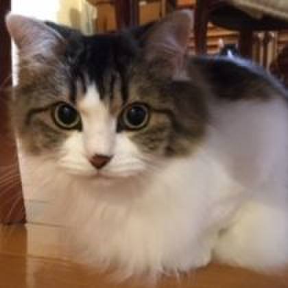 B83cdd68 9abf 41c7 9702 81c4b05cc542 1574632069113