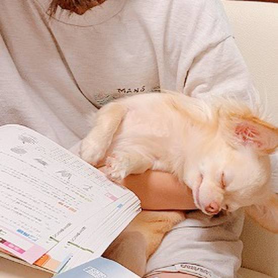 B83cedbf 0342 4474 899b 9ed468dfaa2b 1624086176508