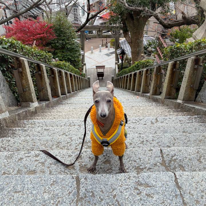 B83cfc36 57eb 446e 8037 0eec14cb1891 1765279607301