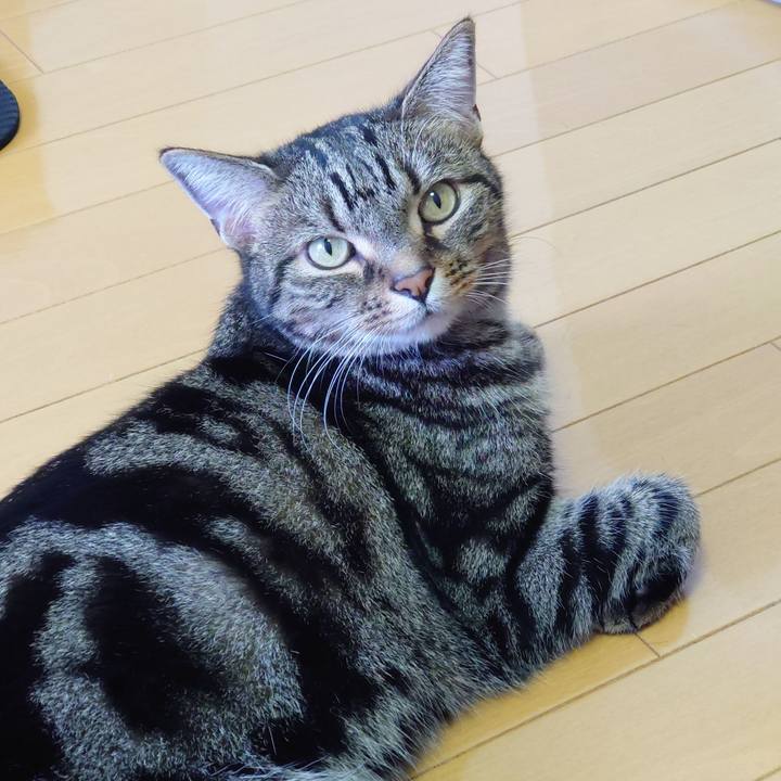 B83d0506 a8ad 453a b354 39a0a95227a1 1628651493704