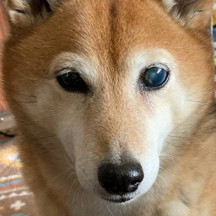 B83d2e3d 60cf 4ec5 9177 7ee07a285d2a 1644546609983