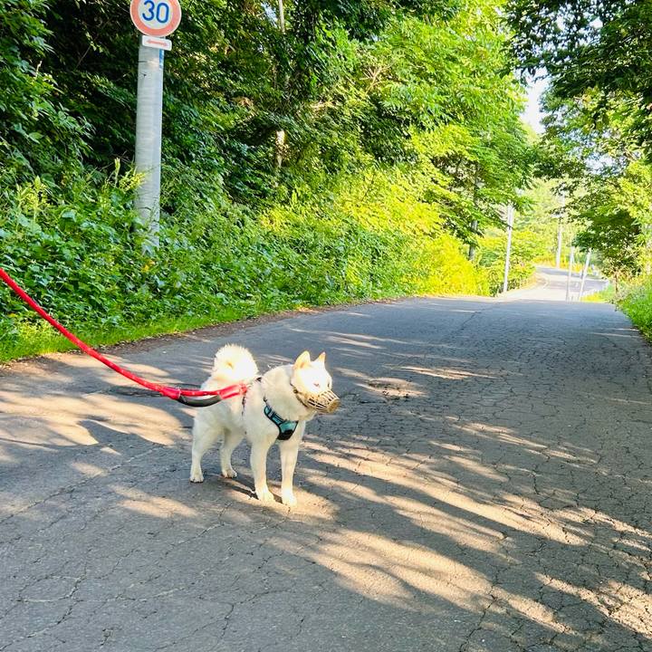 B83d53e6 ad0e 45a0 bf6f 04b7b6c46517 1720907440780