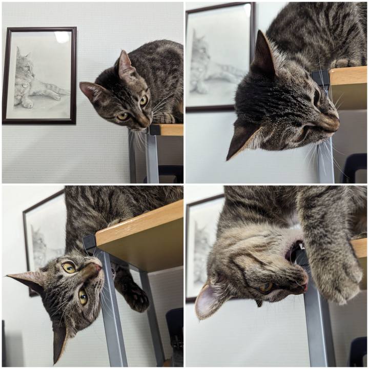 B83d6033 969d 46ed adea e9af0d445e55 1710215295205