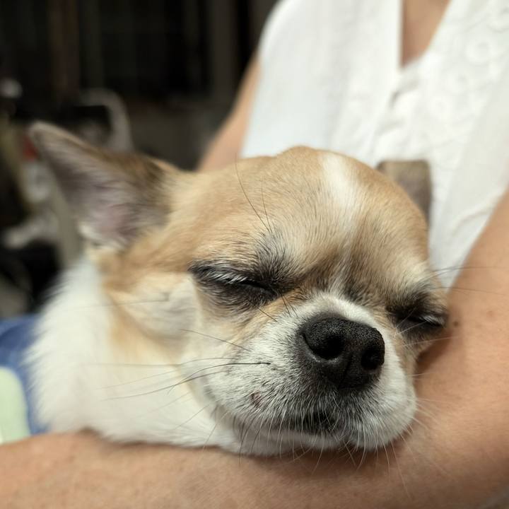 B83da924 550f 42d8 a566 1151bd36d845 1723883831177