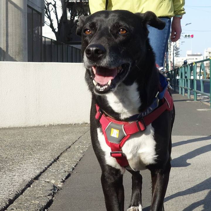 B83db248 d358 4300 aa38 a9a3b61abfbb 1678495642683