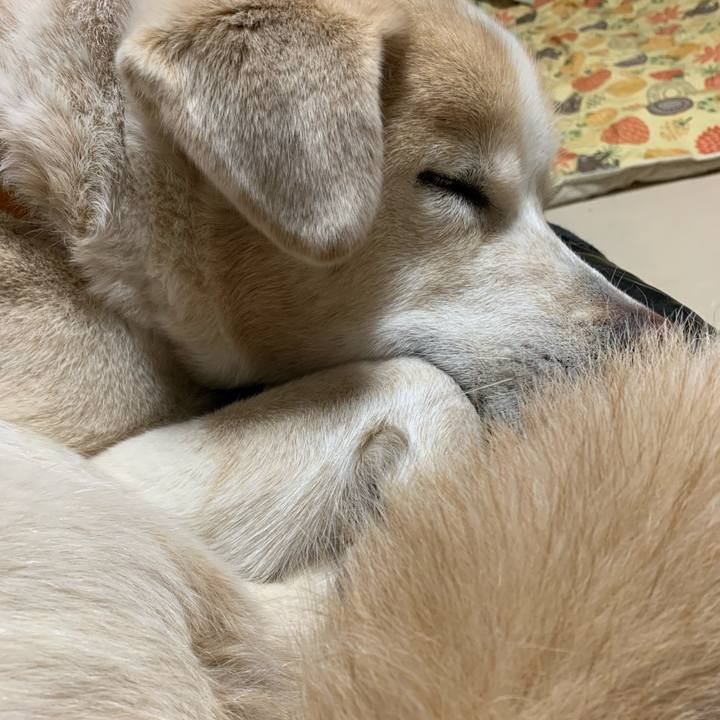 B83dc0c5 1d0f 4df0 83bc be6fc7ef9eeb 1641729133321