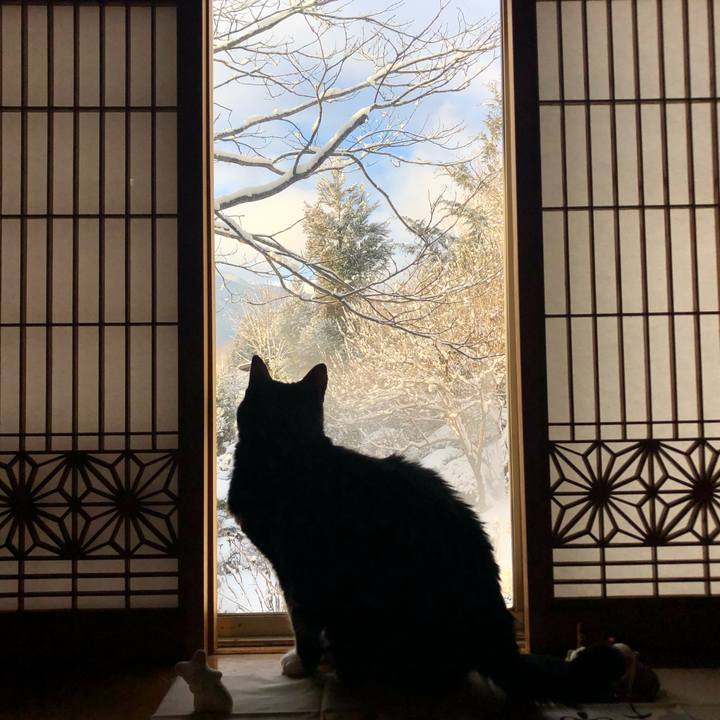 B83de79b 03d5 4155 ac17 a7aa30cfca55 1578266970263