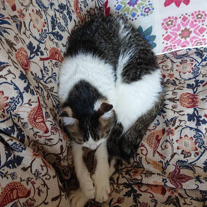 B83e07a0 14c5 4d30 a0b5 ce9f5d117f6f 1717556165084