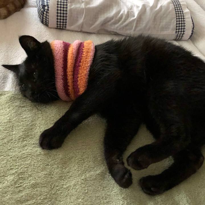 B83e3141 62e0 4c91 8154 825c0fe5597e 1587860172674