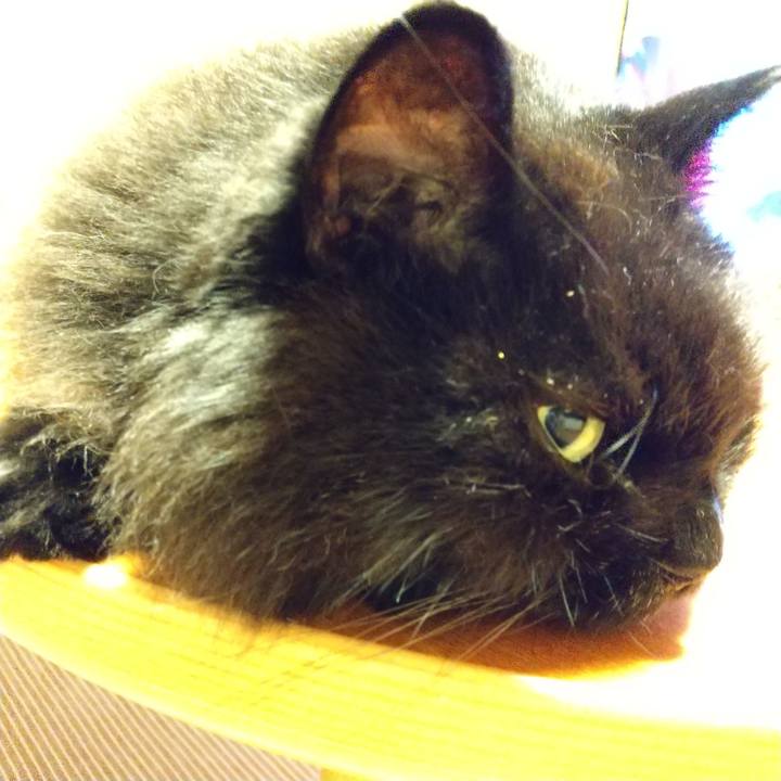 B83e596a 53b2 4191 884b 3af77c7ff734 1599826598756