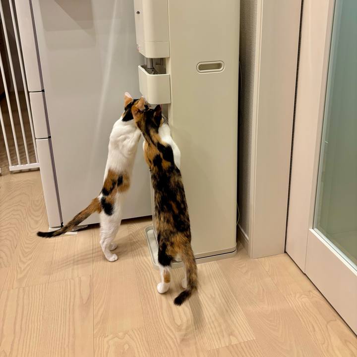 B83e88a4 5fba 4a5f a892 abc558d1d548 1758716090416