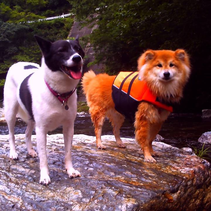 B83ea211 3ccc 46c9 9779 dedc30414a53 1597104585615