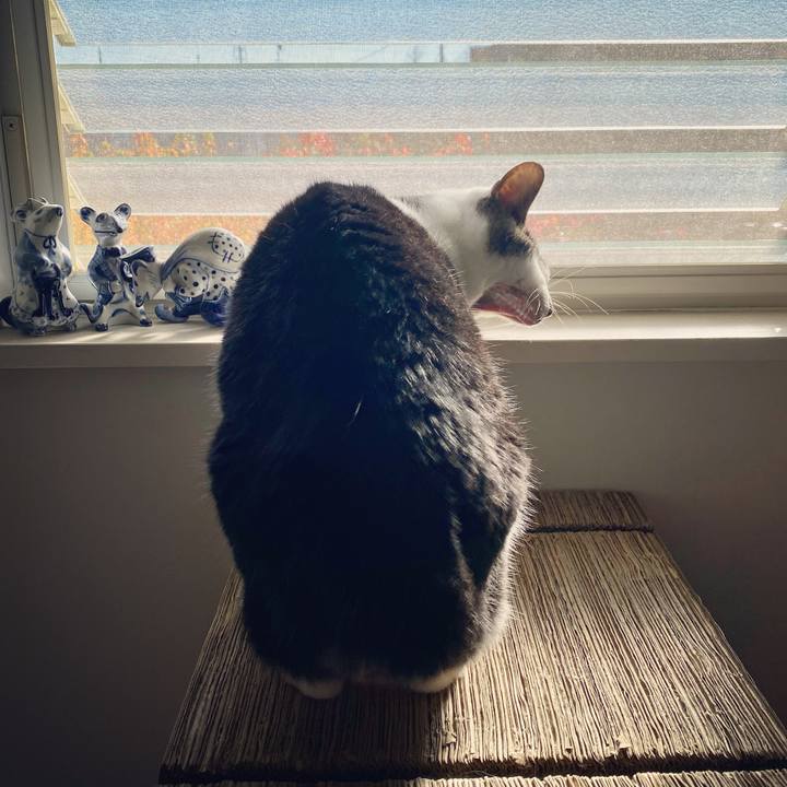 B83ecfea 95bd 4f86 8317 7a4ecadd9465 1639351297650