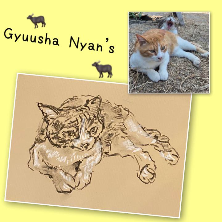 B83f4fd0 49b6 4fe2 b25a ad7865289c8f 1758865100131