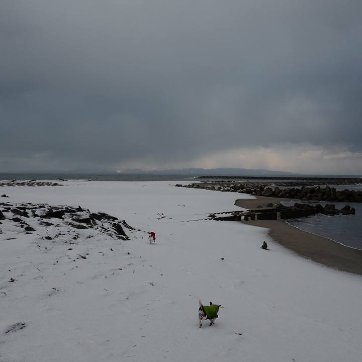 B83f5aba 32bc 4794 9fb9 864150ffce3f 1546401778908