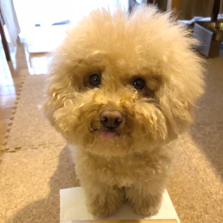 B83f5bcc 6edc 49f6 b397 9167d13d77d5 1526962211176