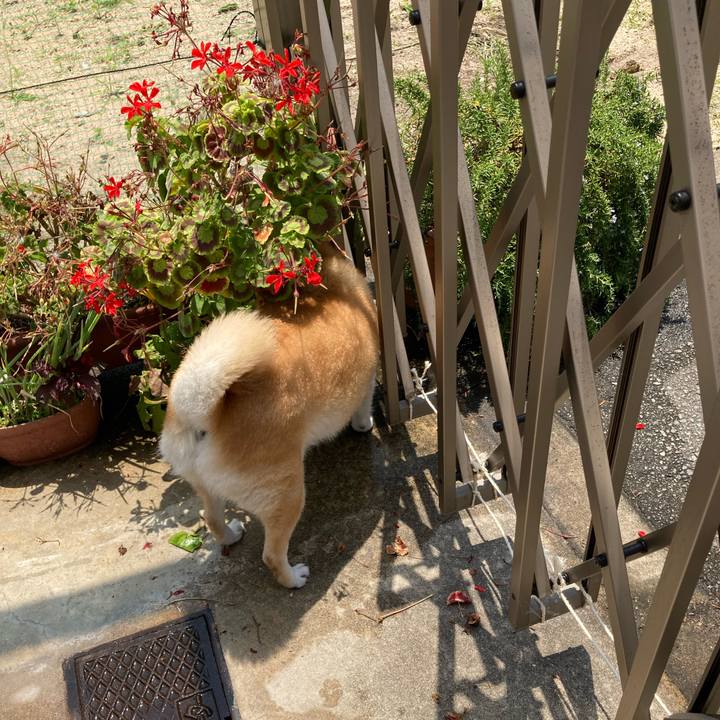 B83f7a97 9156 4069 a4c7 2109751ebb03 1624437801395