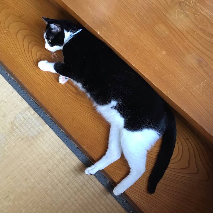 B83fcc16 5114 40fd bedc eba284dcbe0f 1689765734333