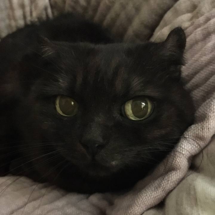 B83fd248 8413 4df2 a5b5 d511afe0a3c8 1545970772139